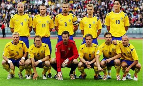 欧洲杯瑞典vs波兰