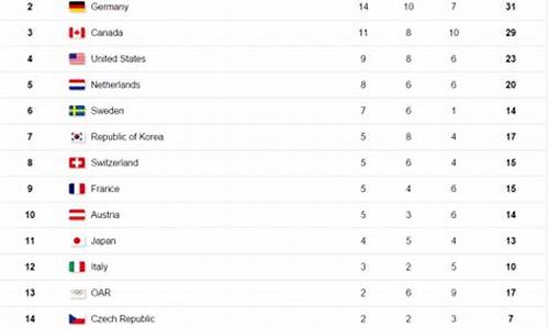 平昌冬残奥会奖牌榜_平昌冬残奥会奖牌榜排