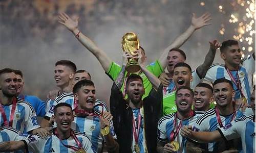 2014年世界杯阿根廷战绩_2014年世